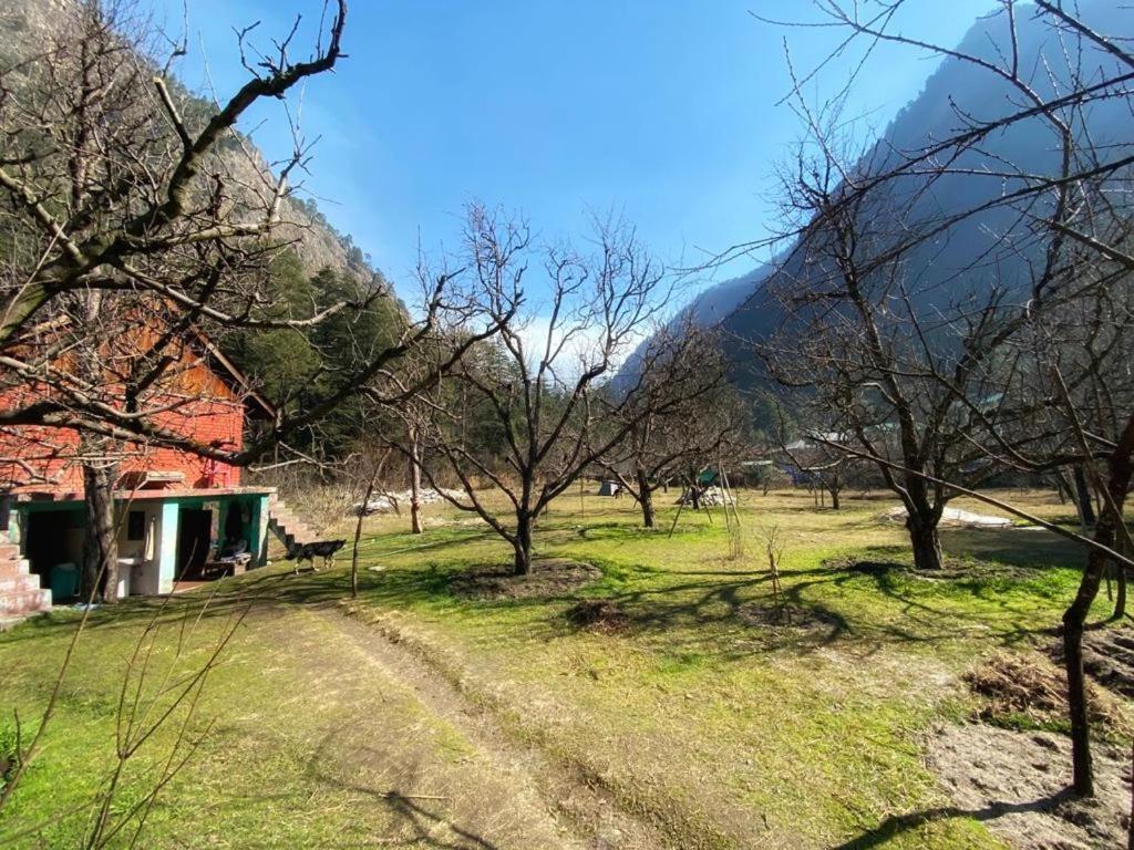 The Royal Orchard Kasol Hotel ภายนอก รูปภาพ