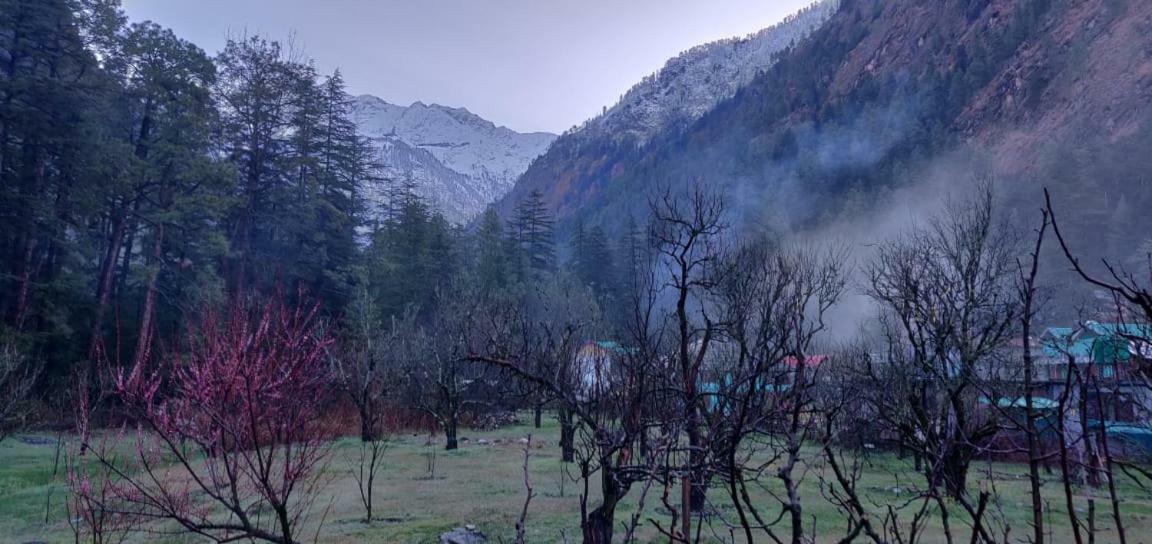 The Royal Orchard Kasol Hotel ภายนอก รูปภาพ