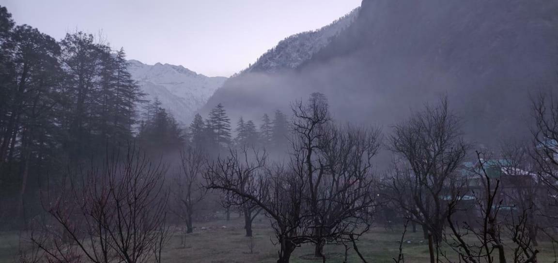 The Royal Orchard Kasol Hotel ภายนอก รูปภาพ