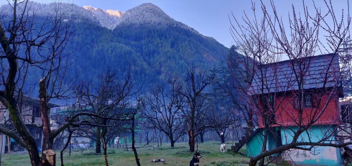 The Royal Orchard Kasol Hotel ภายนอก รูปภาพ
